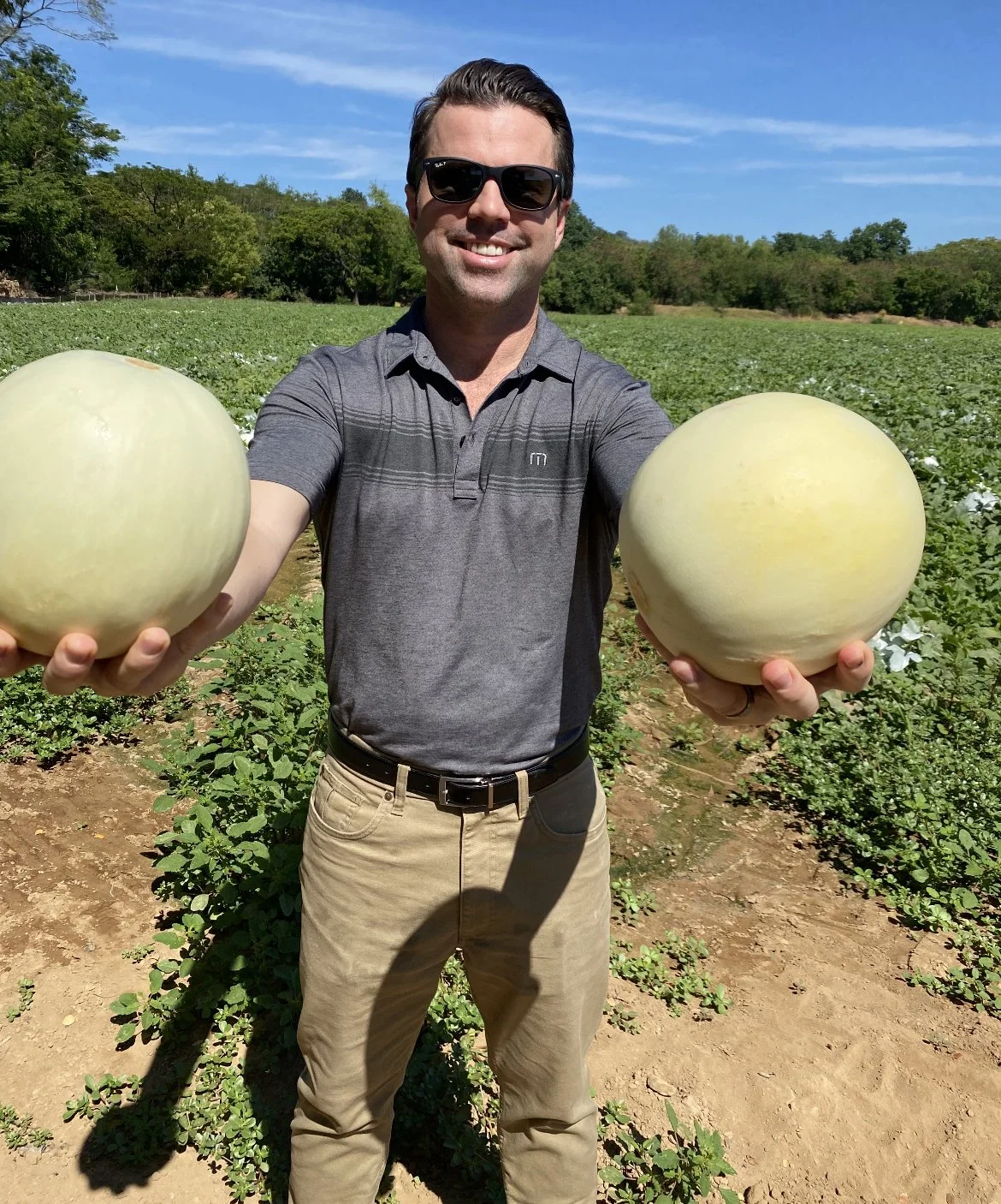 Honduras Honeydews