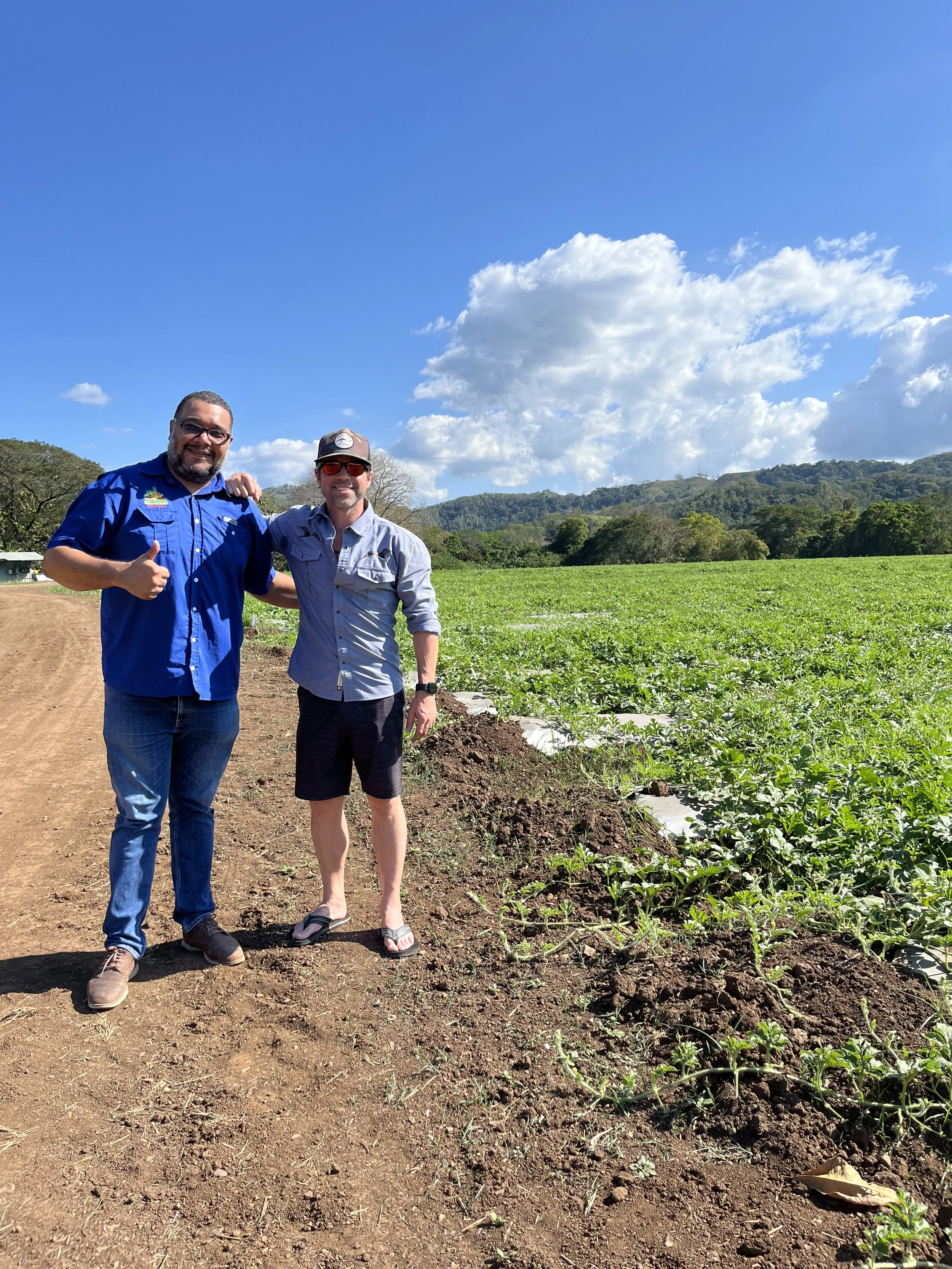Costa Rica Watermelon Farm, Nicoya Peninsula