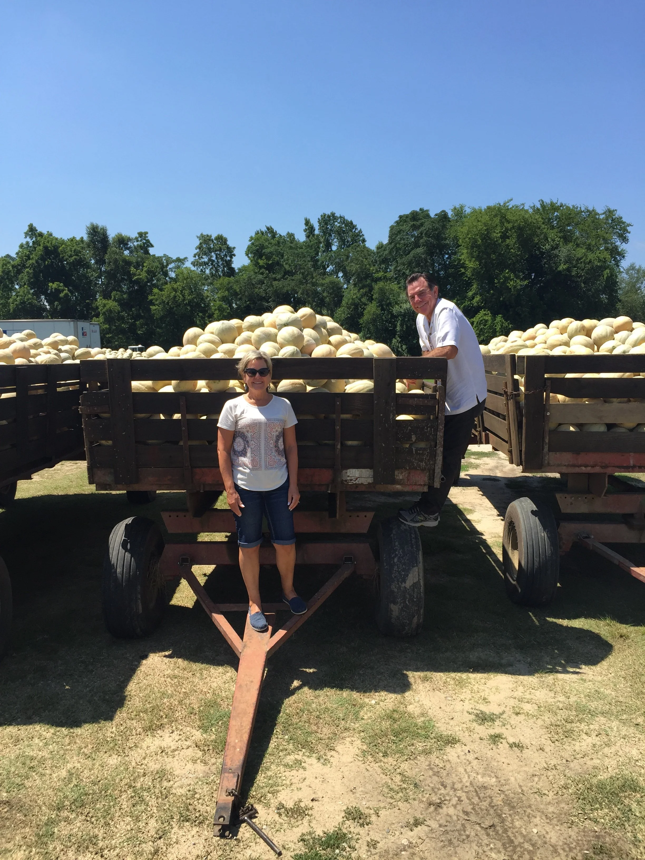 Milton and Peggy Faseler 

Carolina Athena Cantaloupe 

South Carolina 