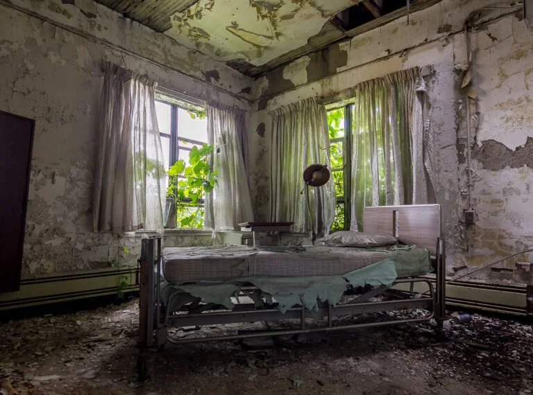 A dilapidated bedroom with peeling paint on walls and ceiling, broken bed with torn sheets, and overgrown plants visible through two windows with torn curtains.