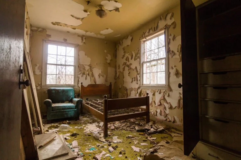 An abandoned bedroom with peeling paint on the walls and ceiling, debris on the green carpet floor, and two windows letting in natural light, showing a barren outdoor landscape.