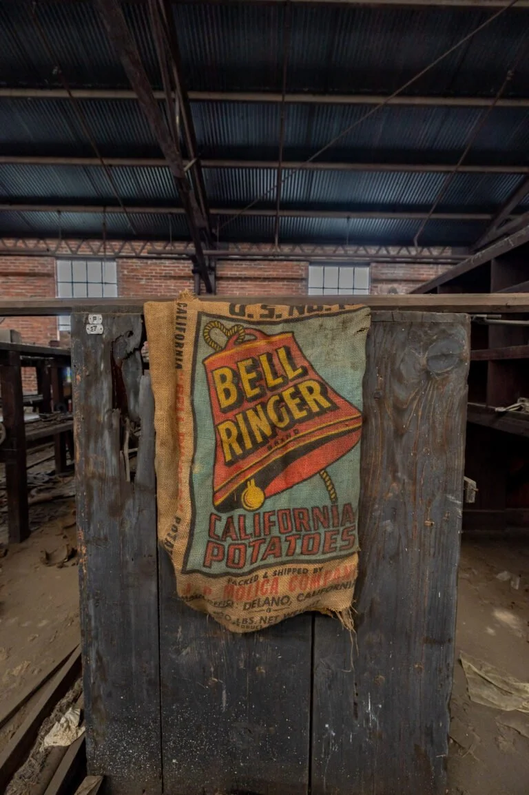 5J5A4990-768x1154.jpg