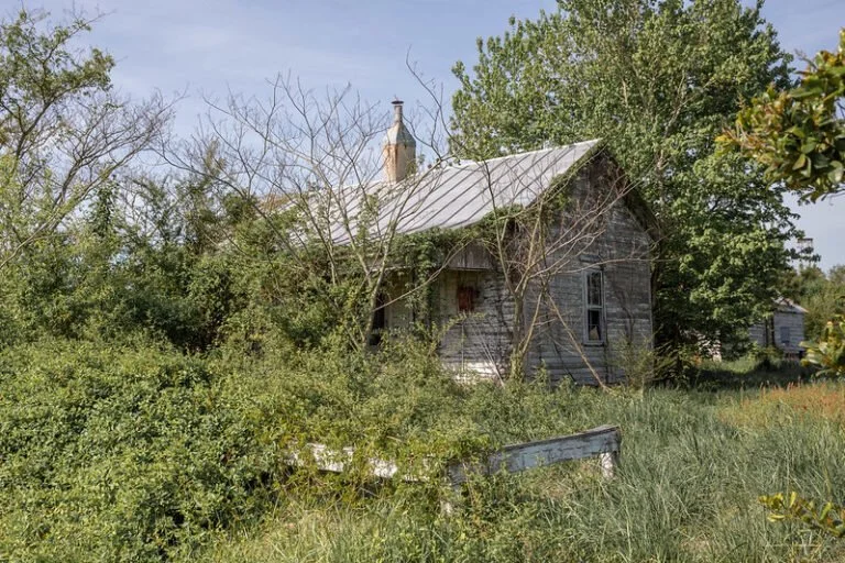 An old, weathered wooden house surrounded by overgrown bushes and trees, with a metal roof and a chimney, in a rural setting.
