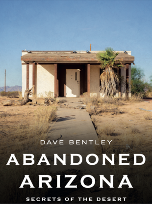 An abandoned house in a desert landscape with a palm tree and a clear blue sky.