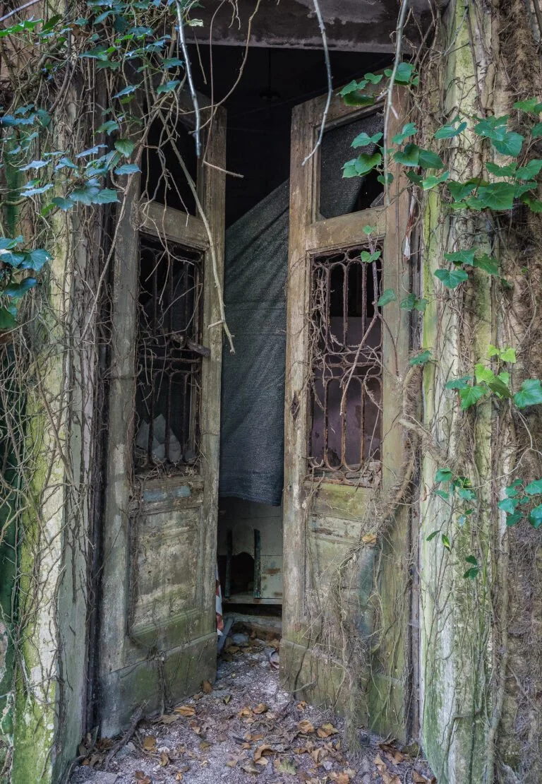 An old, abandoned door with broken glass and rusty iron bars, surrounded by overgrown ivy and vines.