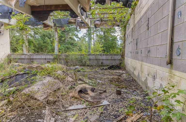 An abandoned, overgrown backyard with debris, broken wood, and scattered plants, next to a cinder block wall and a partially collapsed roof.