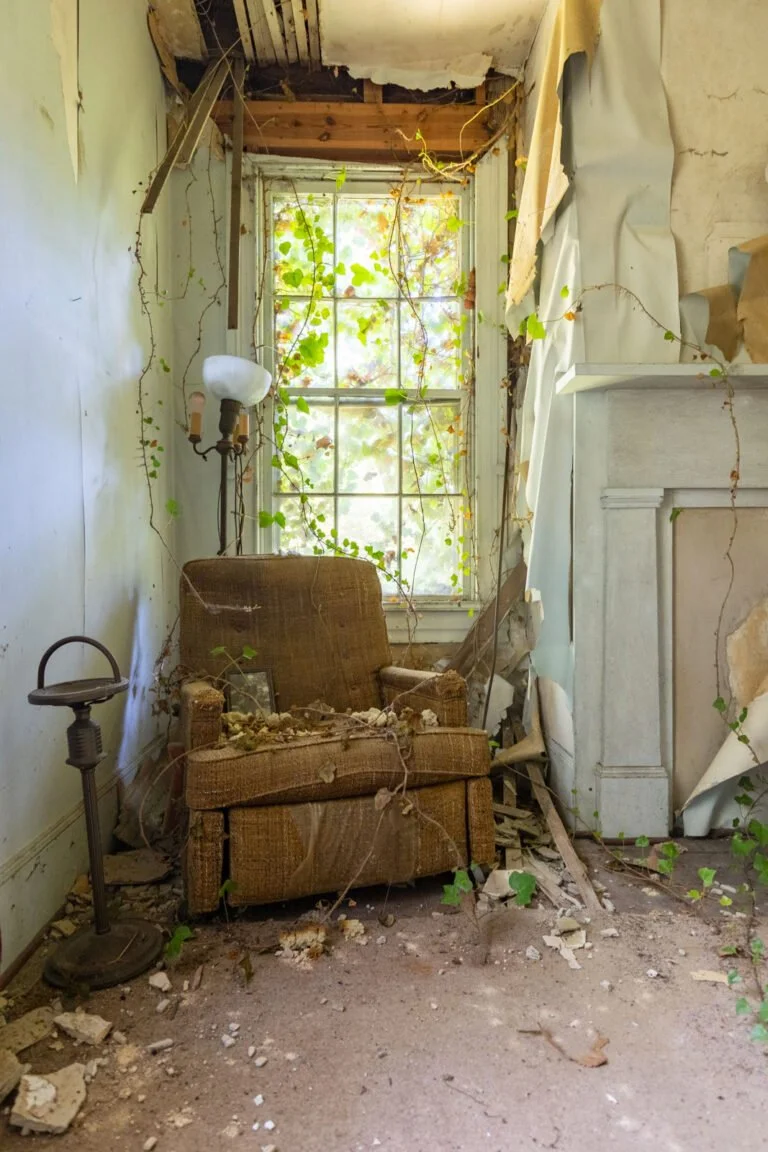 Abandoned room with an old, torn armchair, overgrown with plants, next to a broken window with sunlight filtering through. The room shows signs of decay, debris on the floor, and peeling paint.