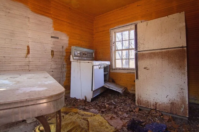 An abandoned kitchen with peeling wallpaper, a rusty old refrigerator, and an old stove with a damaged vent. The floor is covered with dirt, debris, and fallen leaves. A window shows leafless trees outside.