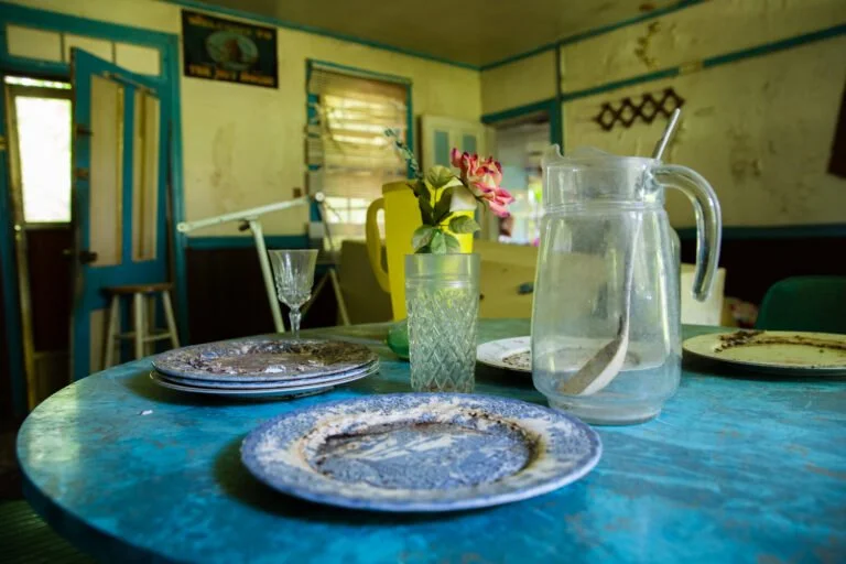 Table set with plates, a glass, a pitcher of water, a vase with flowers, and a background of a rustic kitchen with a door, window, and wall decor.