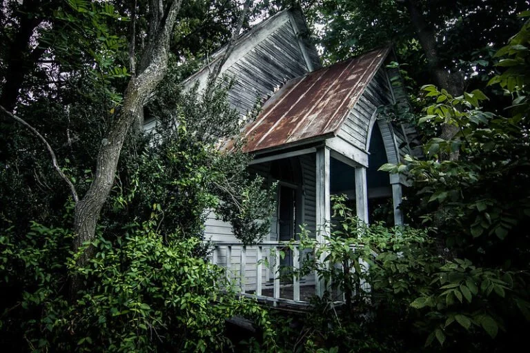 An old, small house with a rusted metal roof, surrounded by dense overgrown bushes and trees, appearing abandoned.