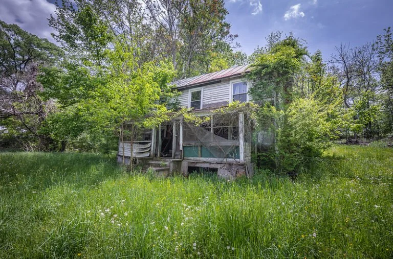 An old, weathered house with a metal roof, partially covered in vines, surrounded by tall grass and trees in a rural setting.