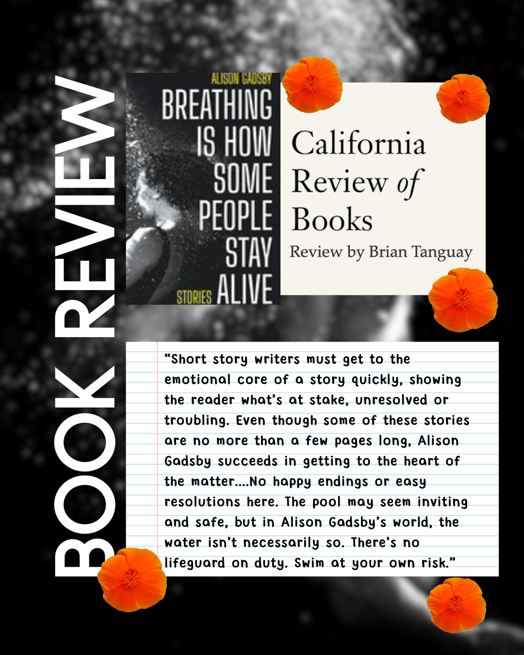 California Review of Books
