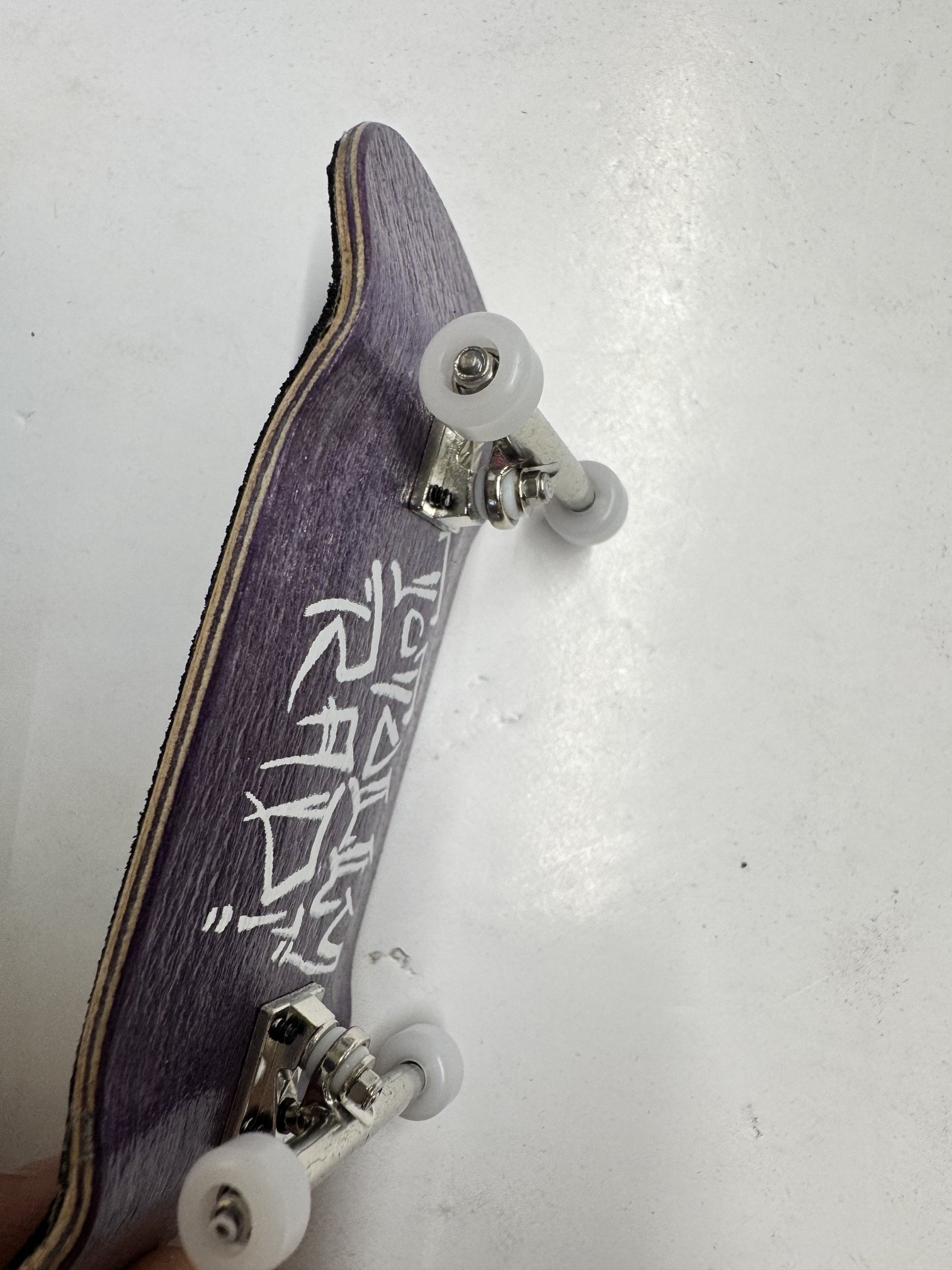 image9.jpeg