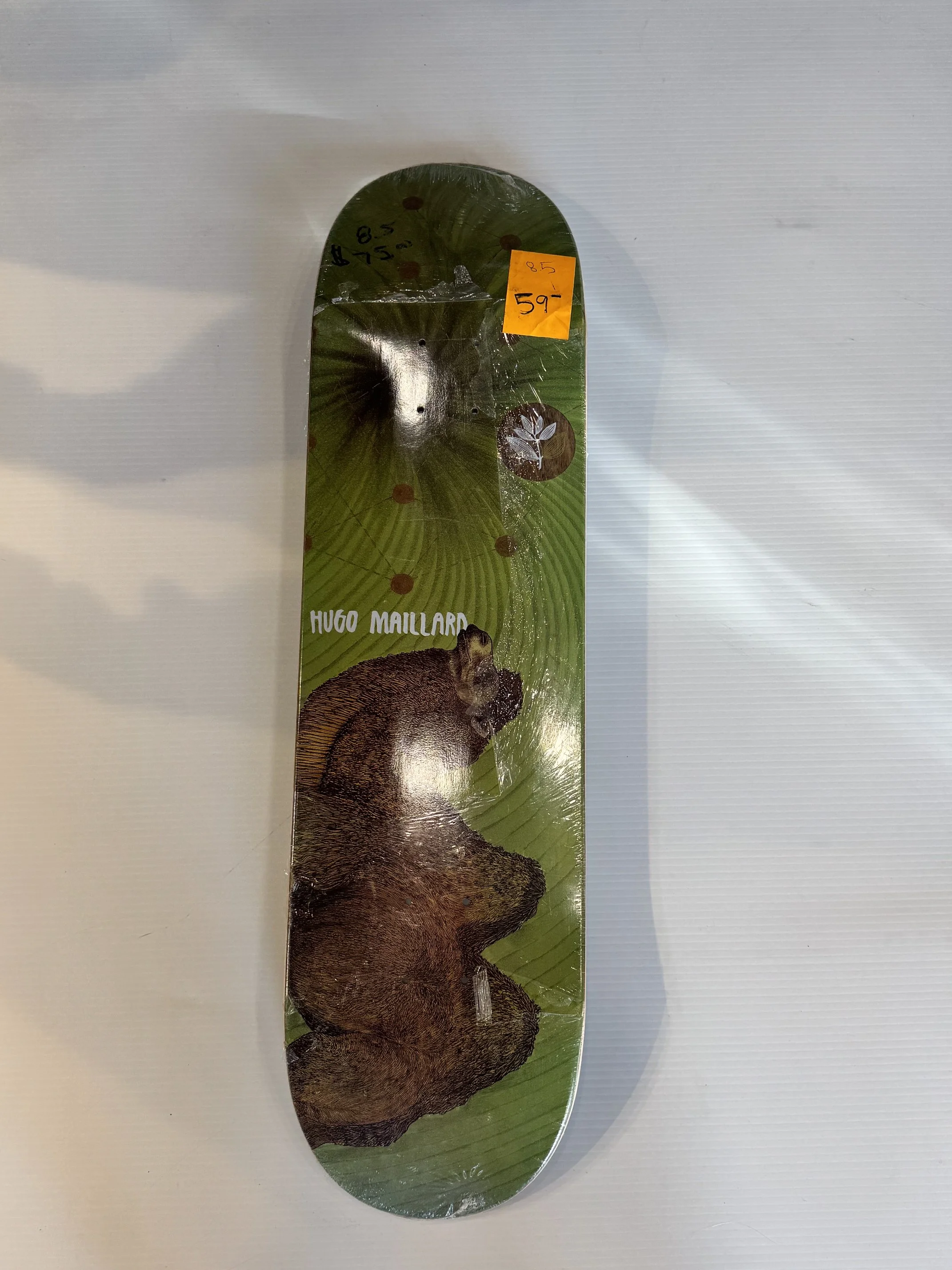 image10.jpeg
