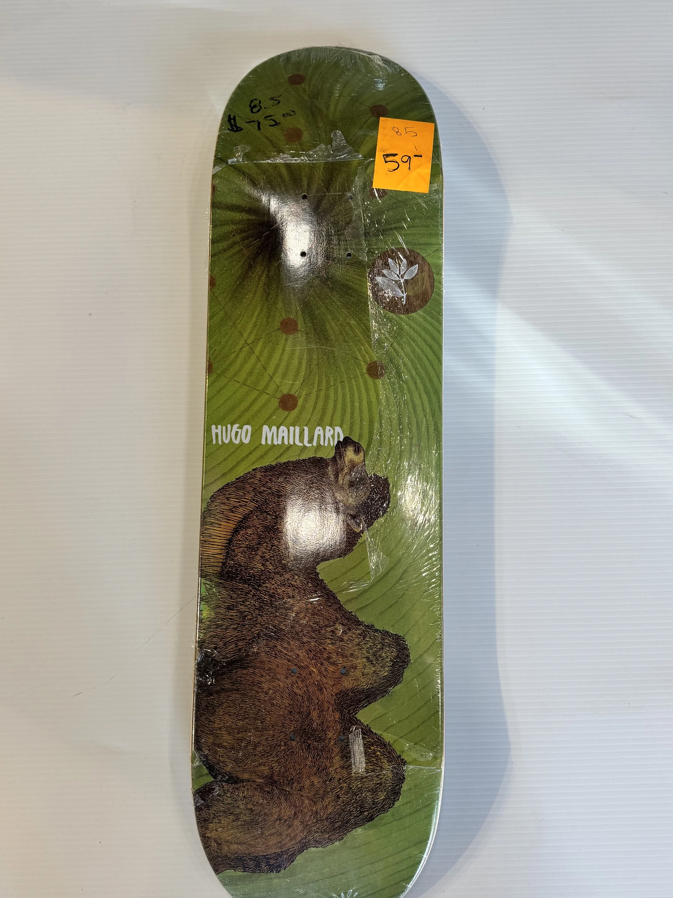 image9.jpeg