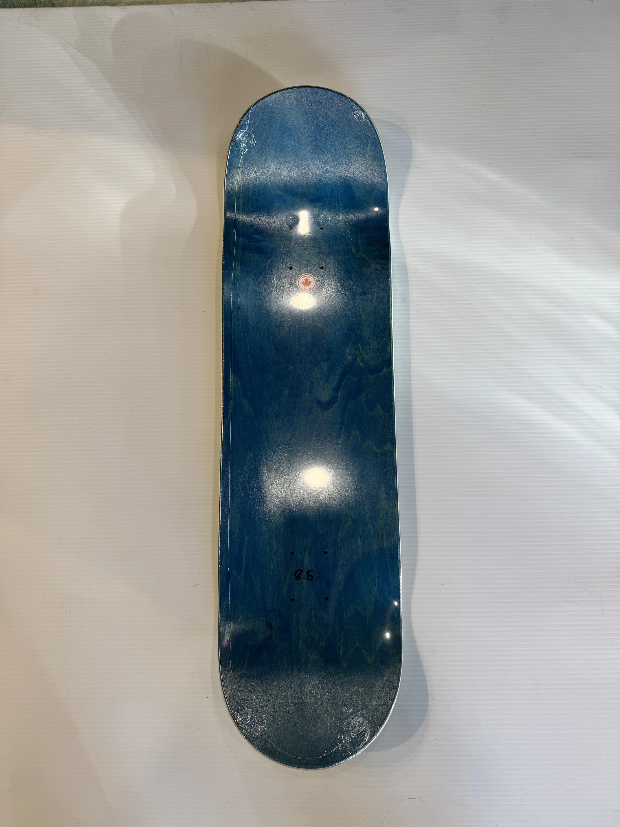 image6.jpeg