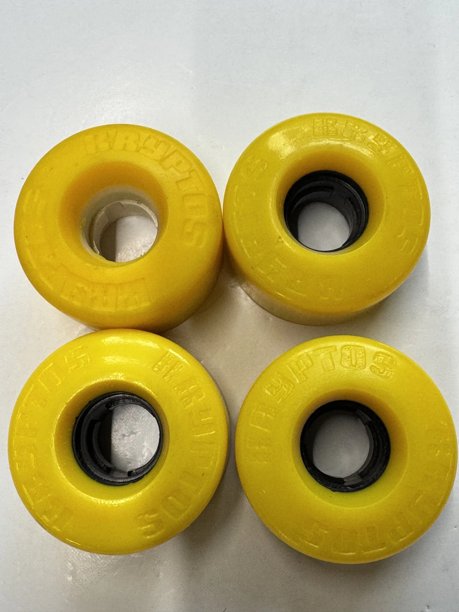 image8.jpeg