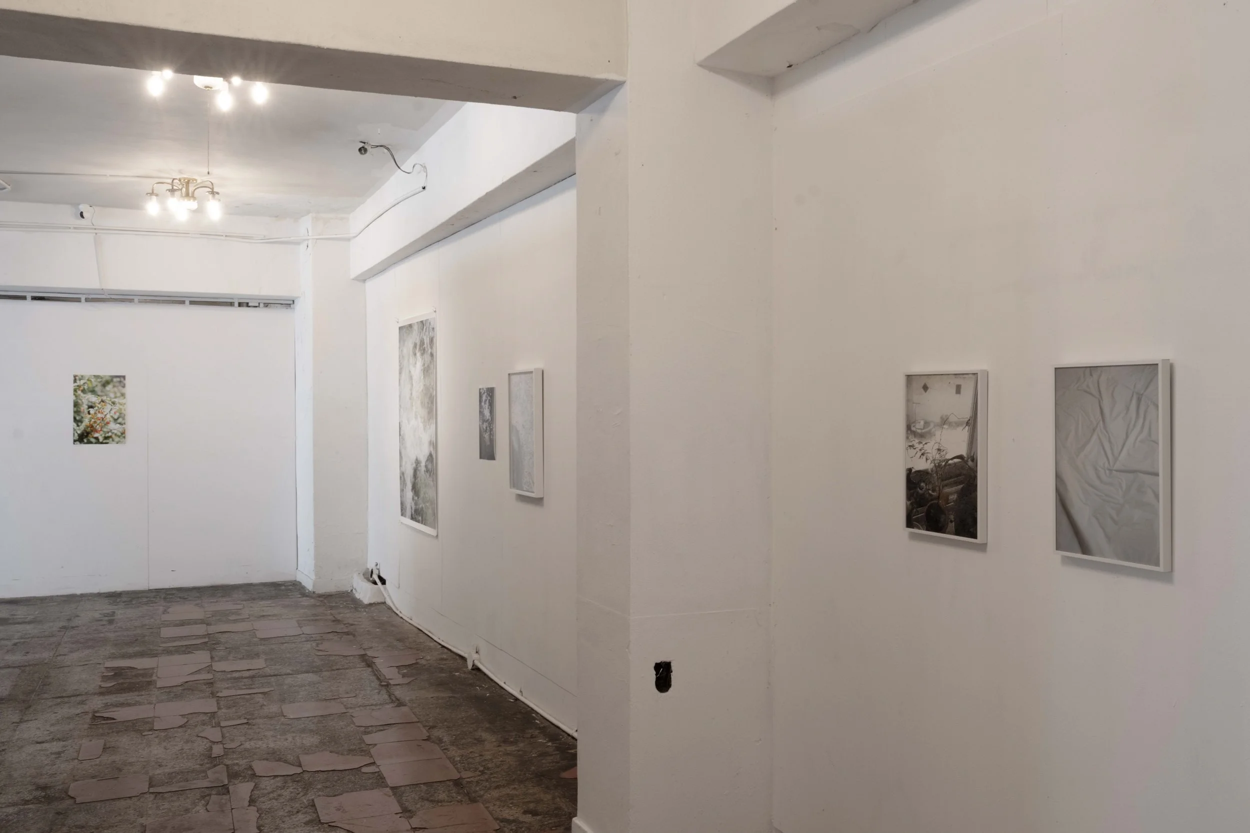 Installation view-4.jpg