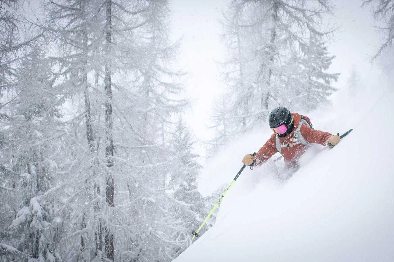 A skier in deep powder among snow-covered trees