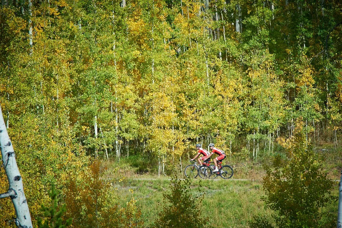 Two cyclists riding through turning aspens