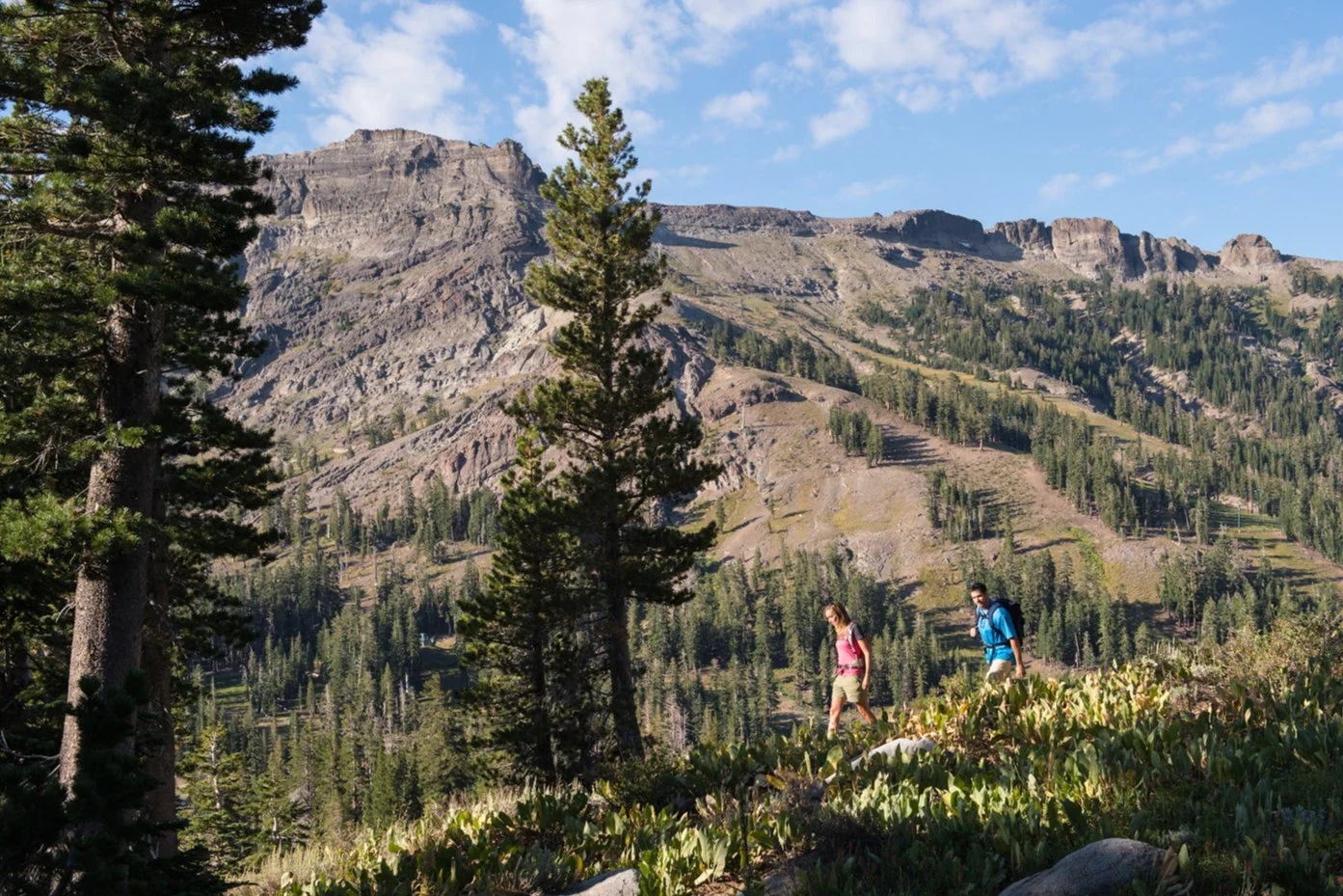 Two hikers small in a summer meadow below the Kirkwood ridge