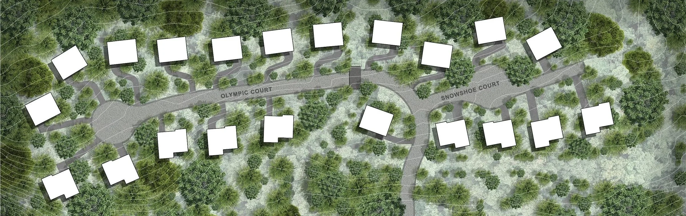 Site plan: twenty homes set along two courts among the trees