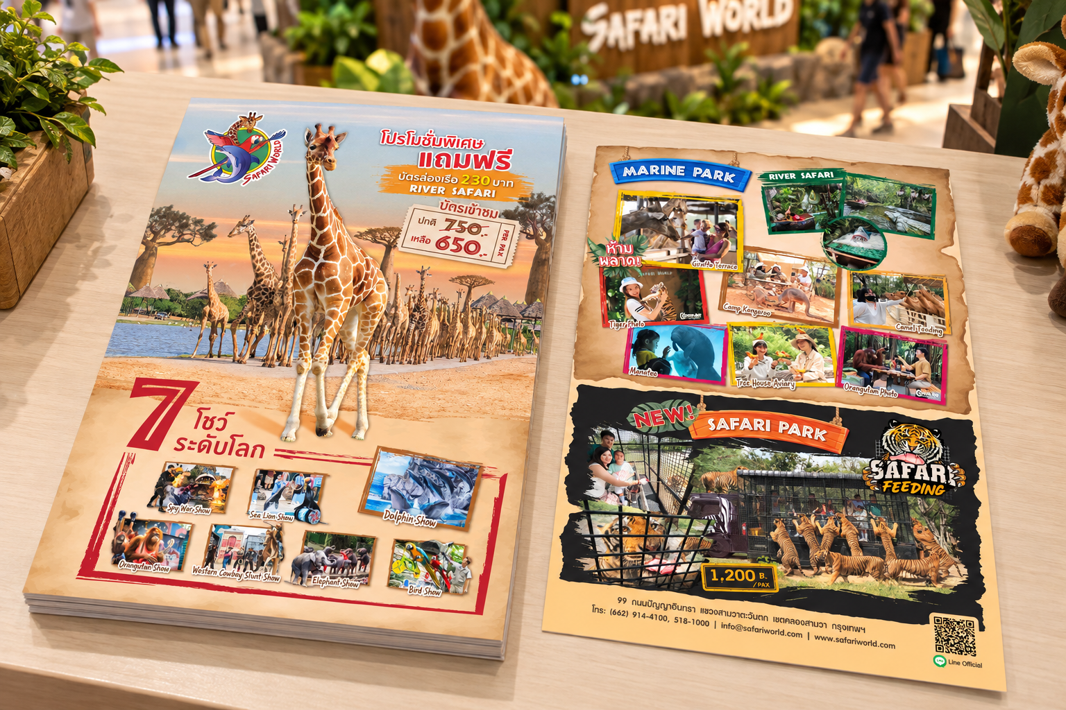 Safari World event leaflet display.png
