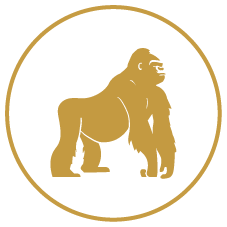 Gold lion silhouette inside a black circle
