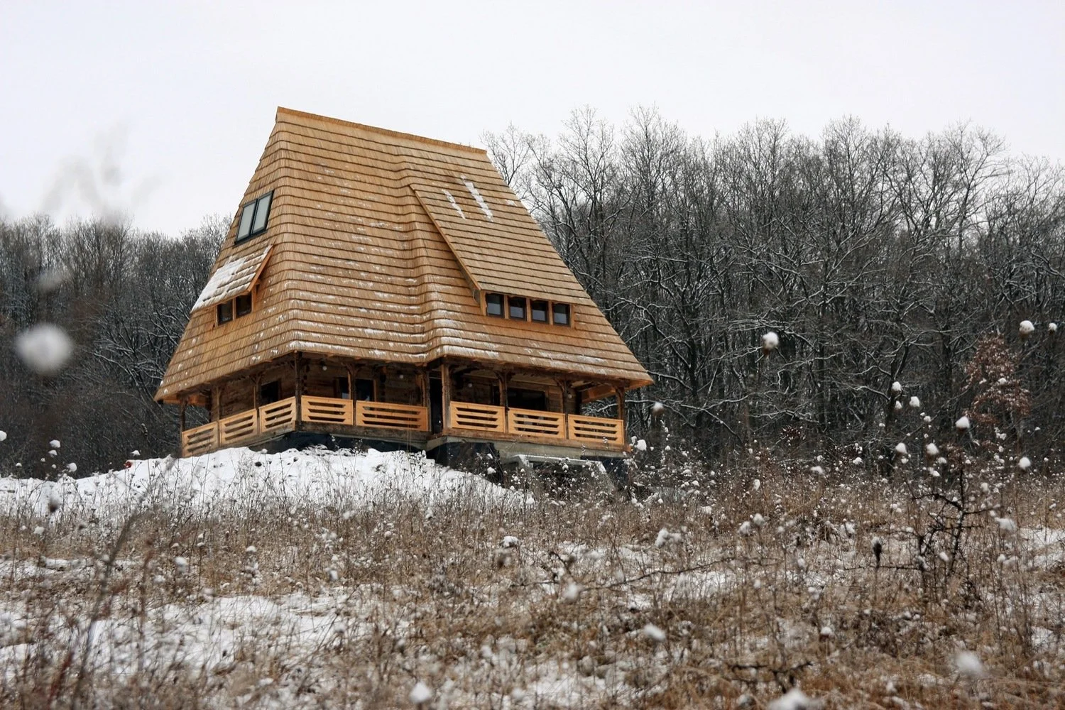 Vultureni Wooden House