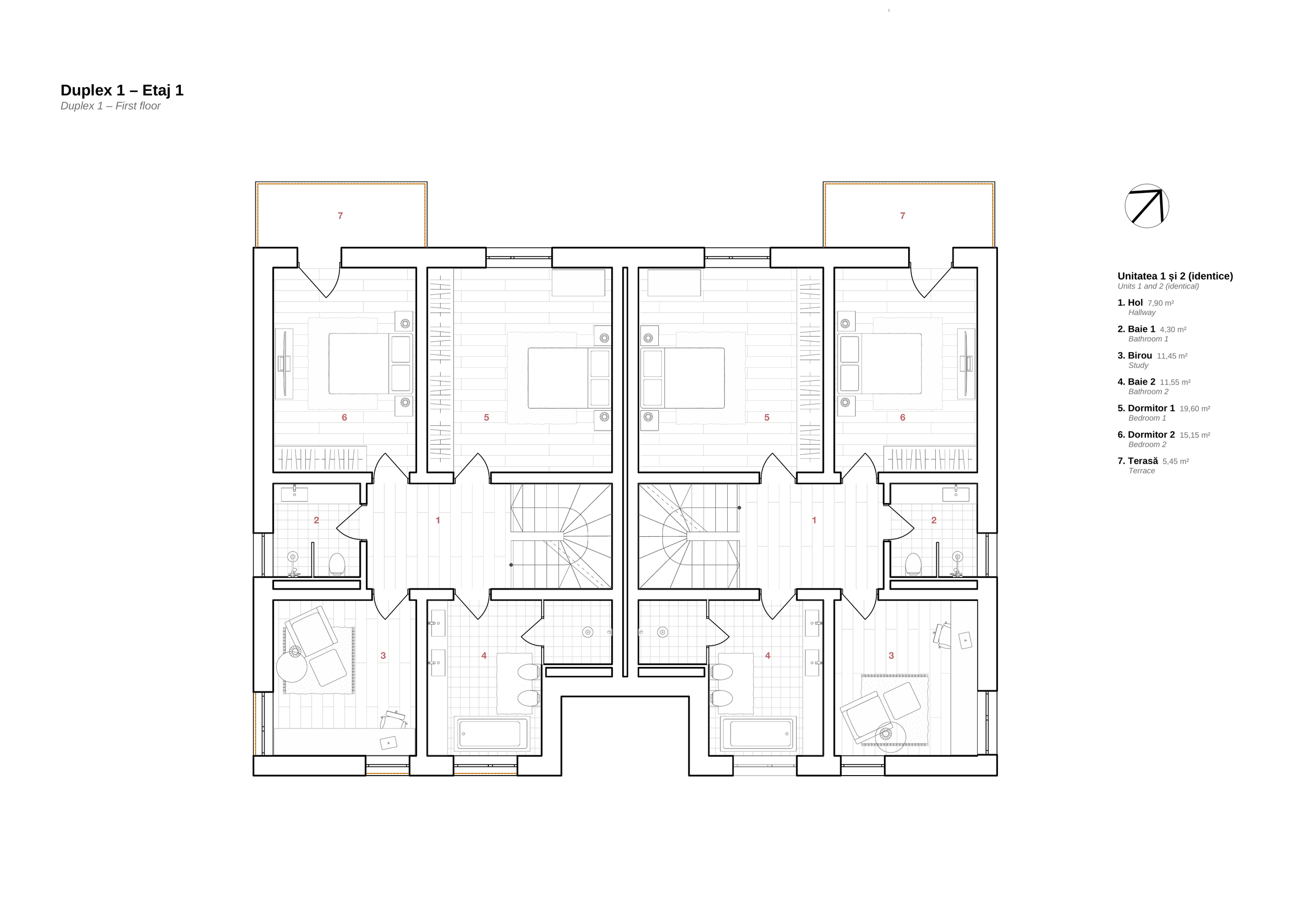 Duplex_1_Etaj_1.png