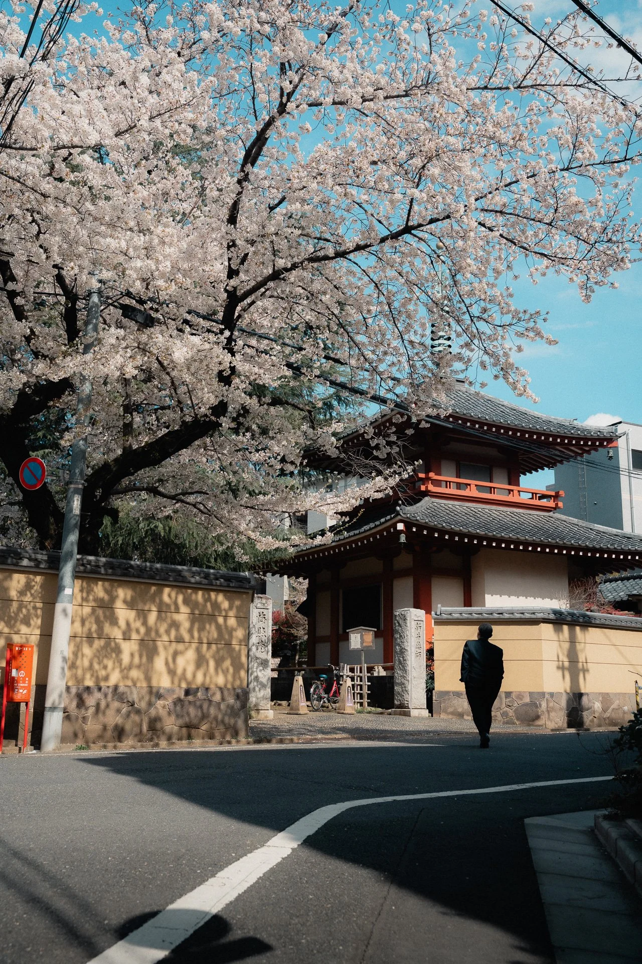 Sakura Nakano.jpg