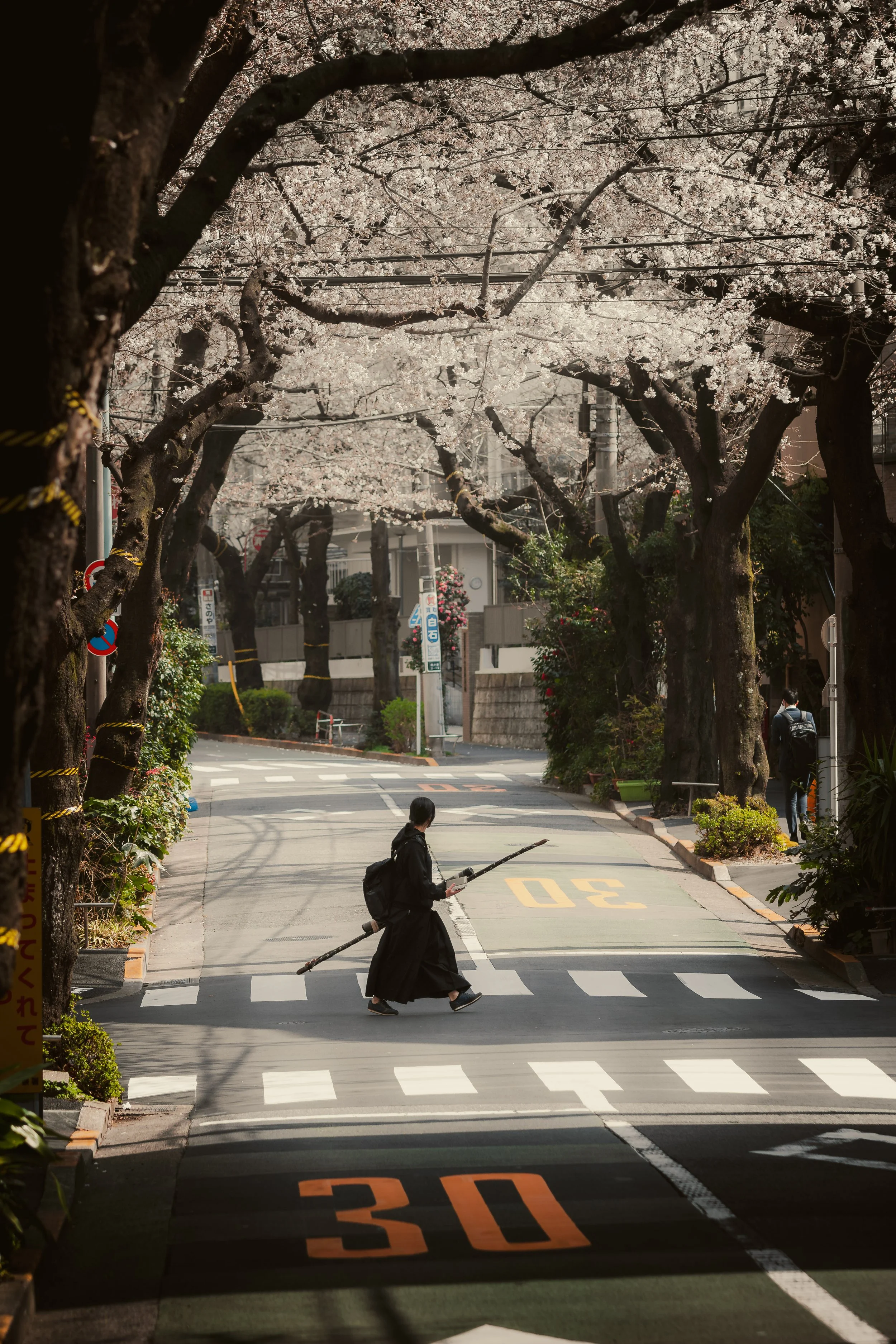 SAKURA-2.jpg