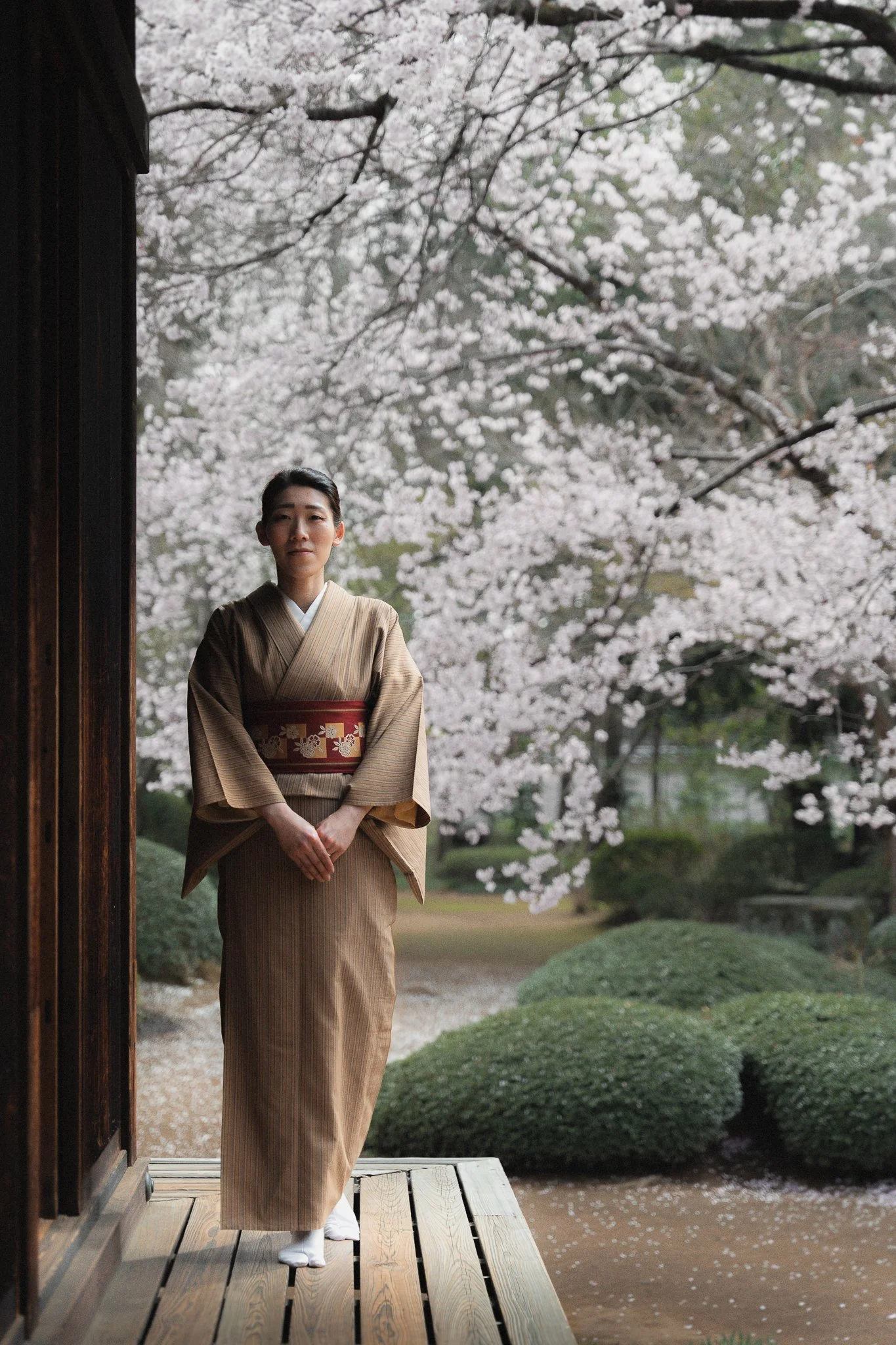 A woman in traditional Japanese kimono standing on a wooden porch surrounded by cherry blossom trees.