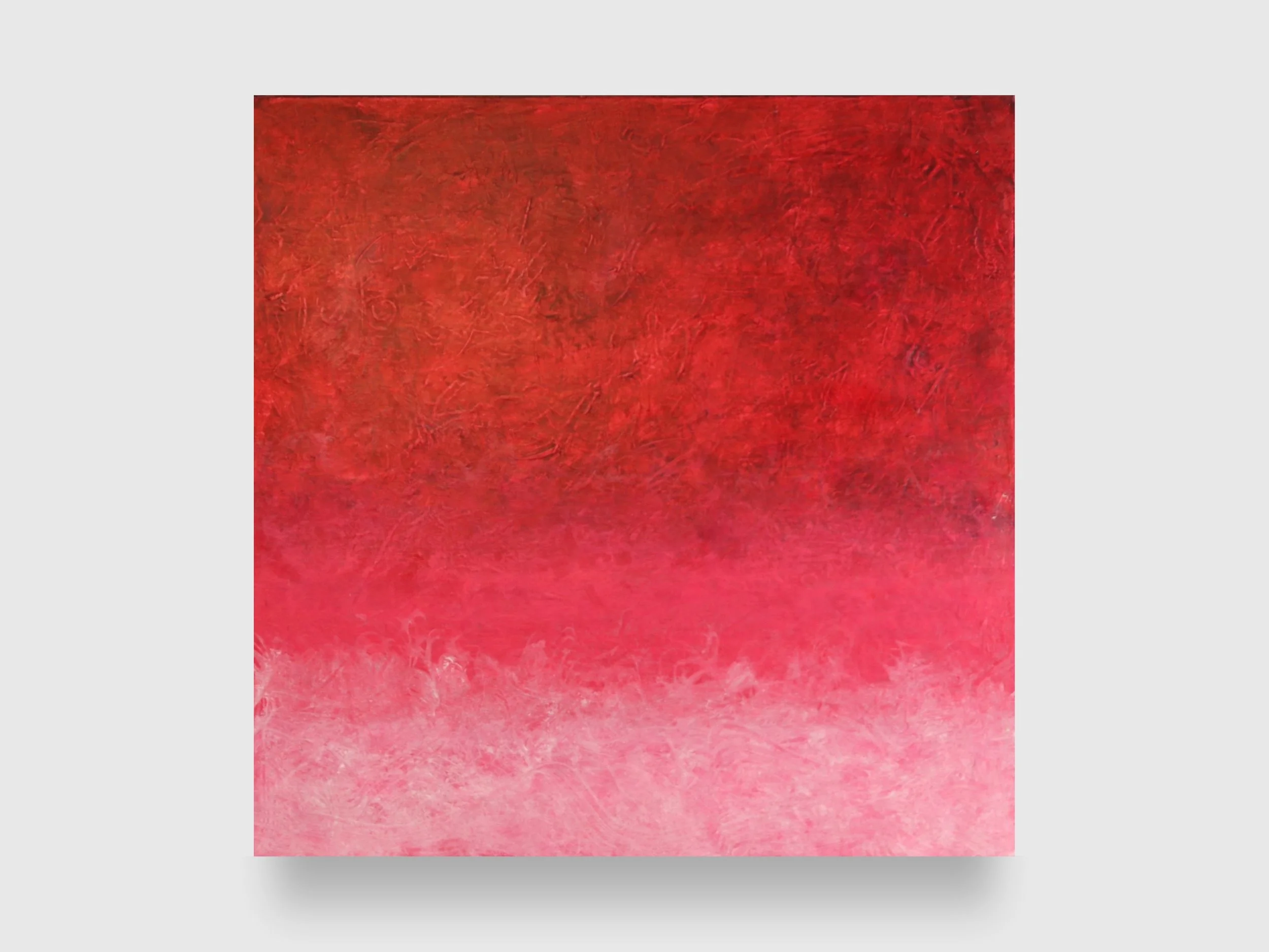 Pink Field, 2024. Acrylic on canvas — 23.5 x 23.5 x 1.5 in.