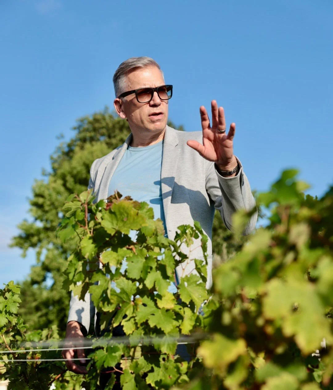 Mark Pygott MW talking in vineyard