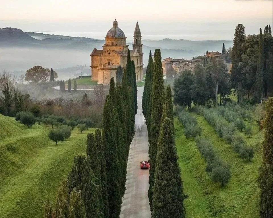 Car driving up a cypress tree lined road towards castle