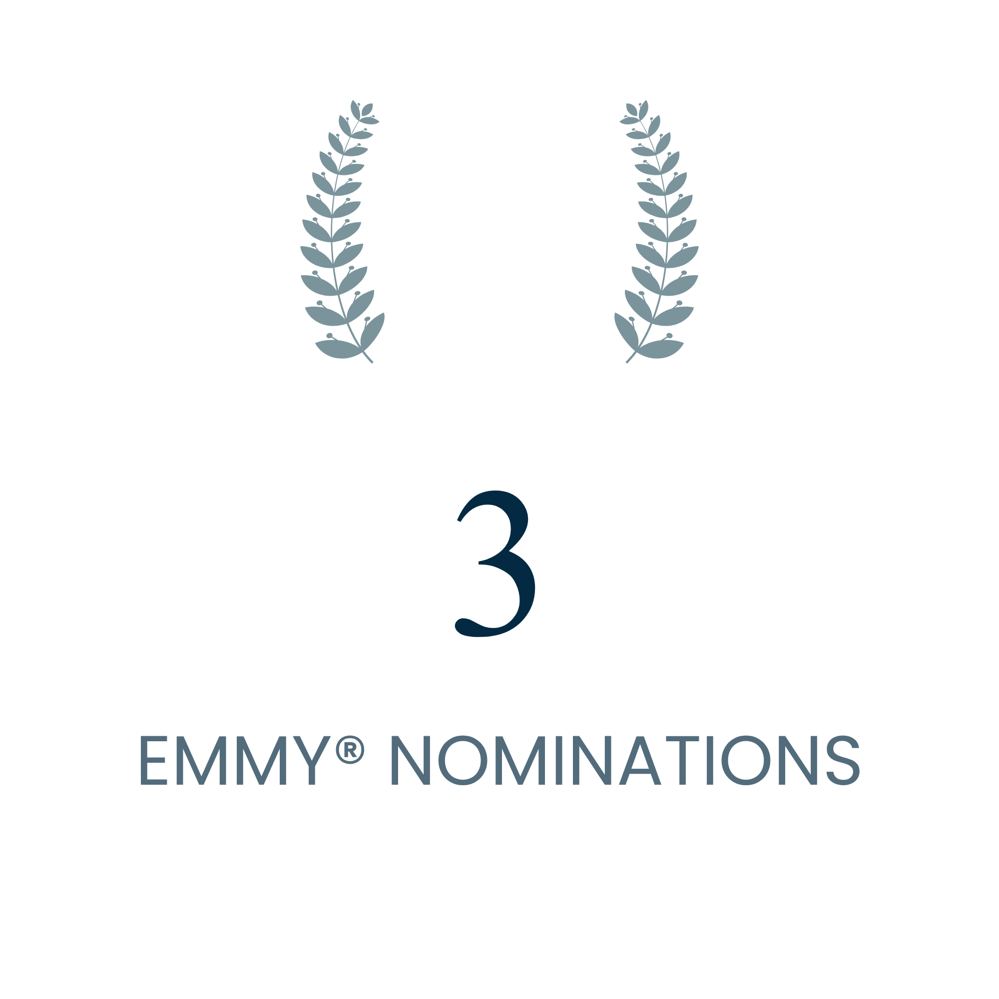 Anthony Pyper 3 Emmy Nominations Infographic