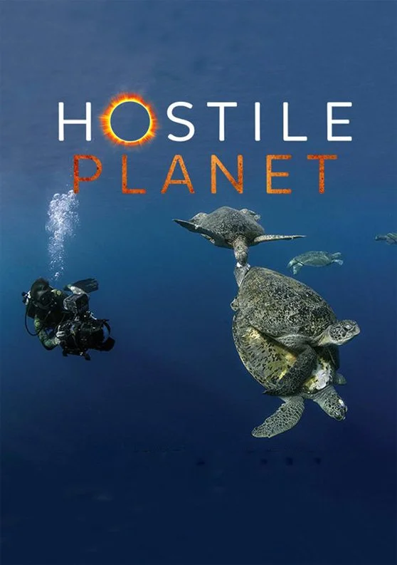 A poster for the National Geographic series 'Hostile Planet' showing an underwater cameraman with Olive Ridley Turtles.