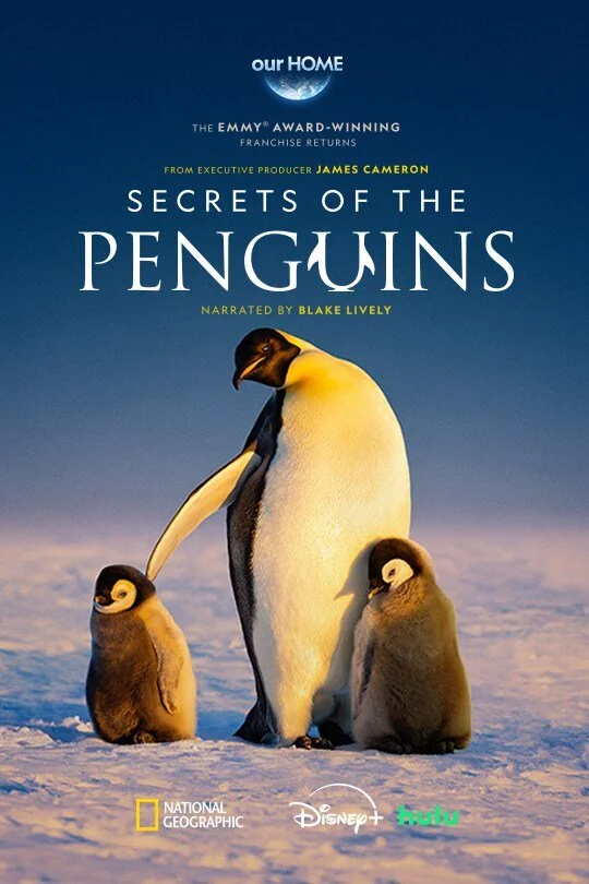 Poster for the documentary 'Secrets of the Penguins' showing an adult penguin with two penguin chicks standing on snow, with a partly cloudy sky and the moon in the background.