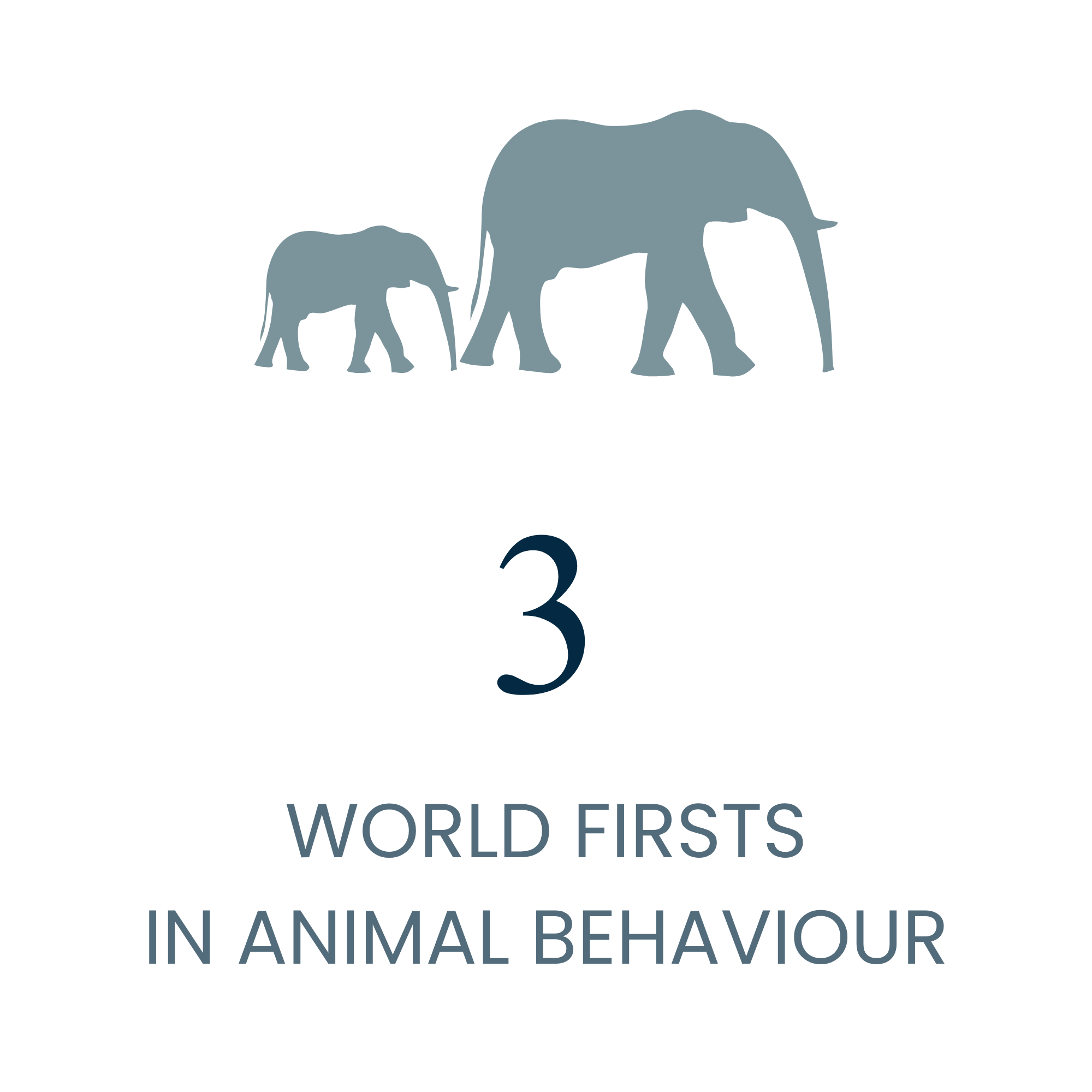 Anthony Pyper 3 World Firsts in Animal Behaviour Infographic