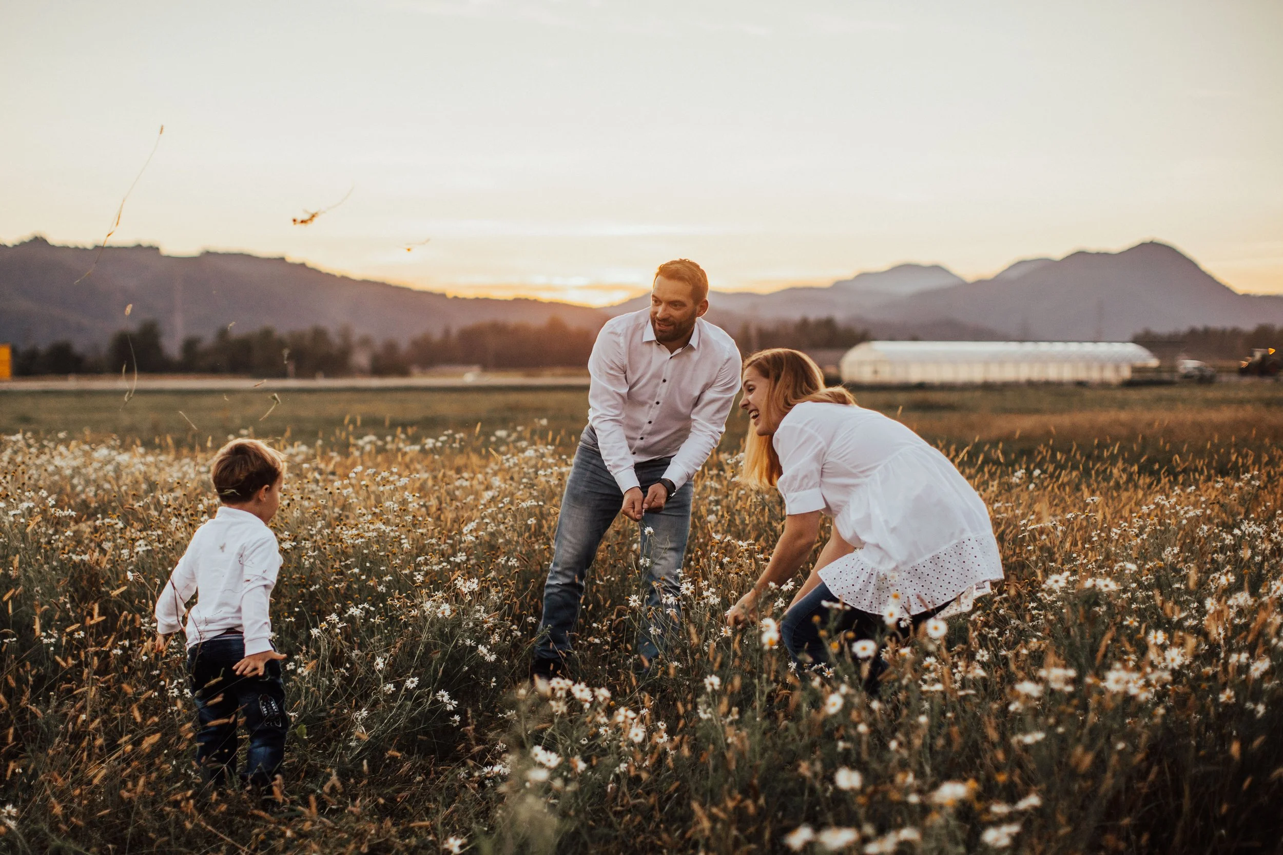 A family of four enjoying a meadow of wildflowers during sunset, with mountains in the background.