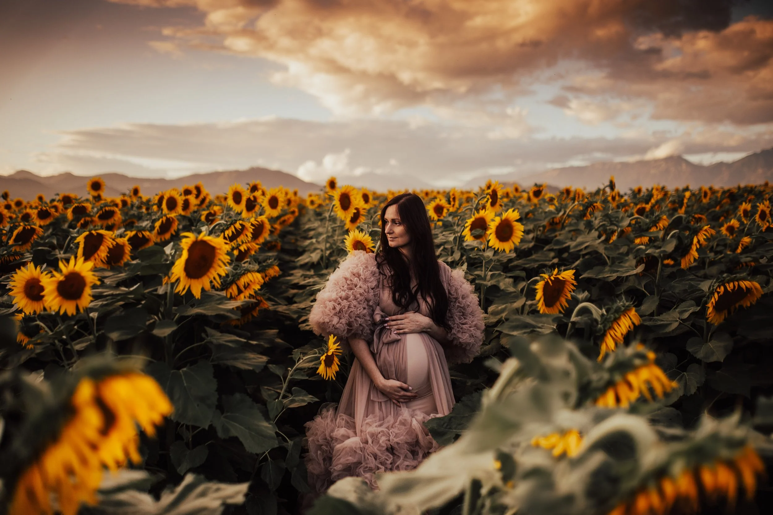 A woman in a pink dress and fluffy coat kneeling in a sunflower field at sunset with mountains and a cloudy sky in the background.