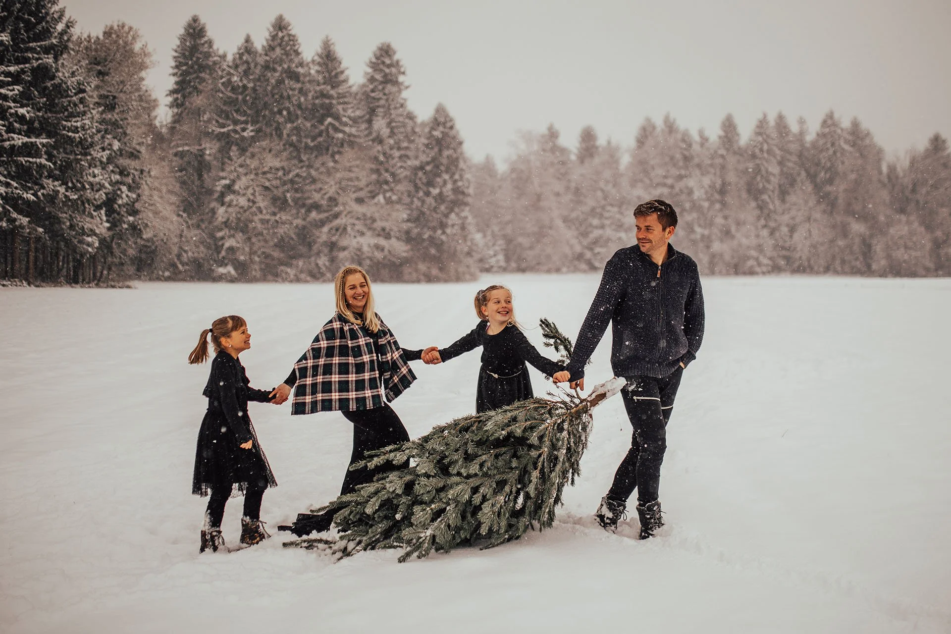 A family of five, including two children and two adults, moving a Christmas tree across a snowy field with a backdrop of snow-covered trees, during winter.