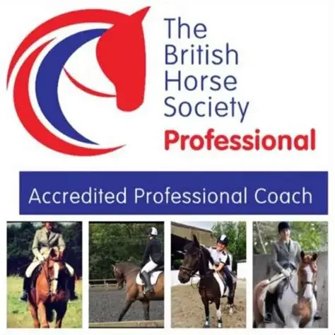 Logo of The British Horse Society Professional with four images of horseback riding at the bottom.