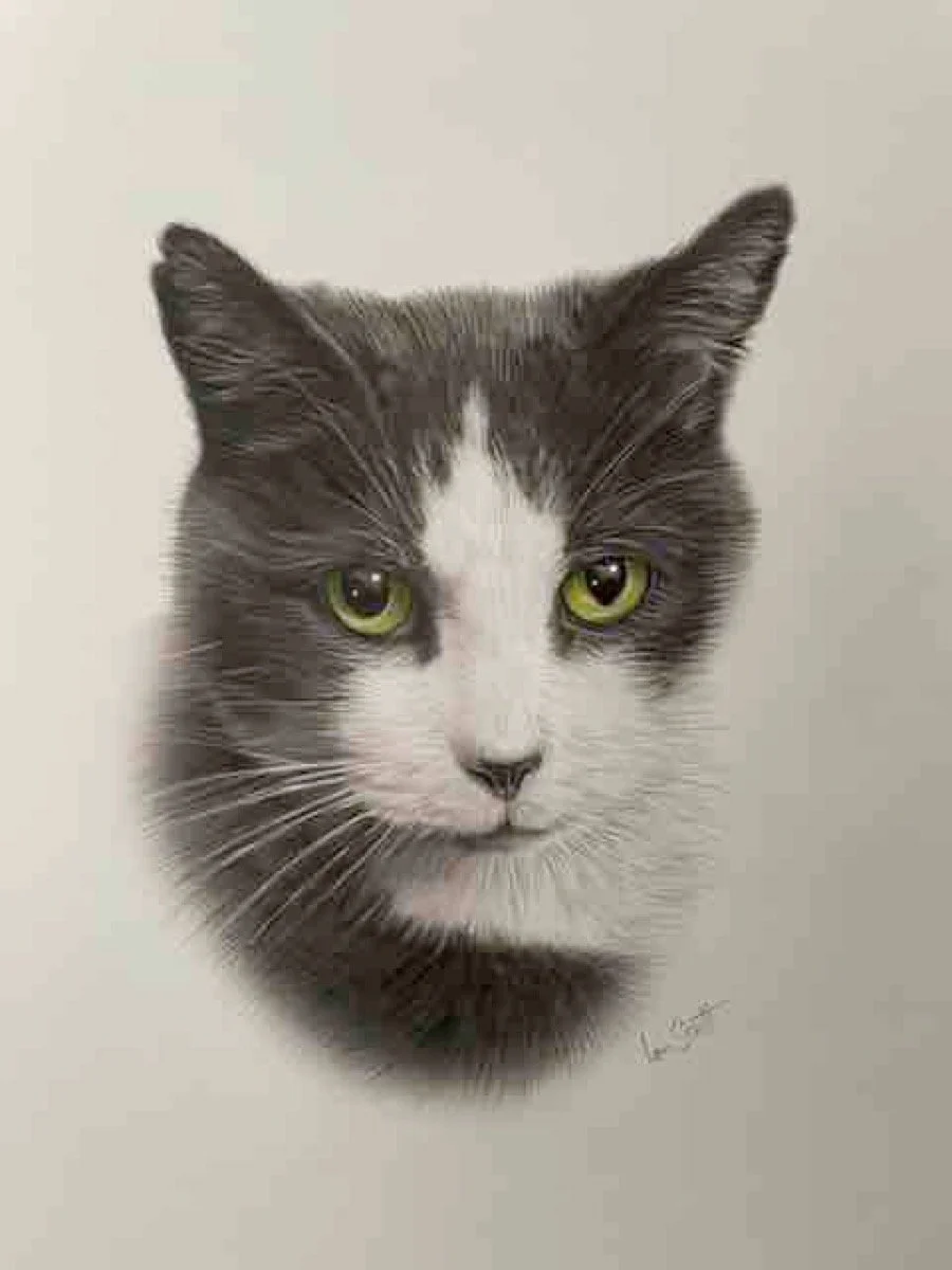 2023-10-14_Cat_white_Black_Colour_ Pencil_Portrait_Ian_Scott_Art_ianscottart_Artist_Art.jpg