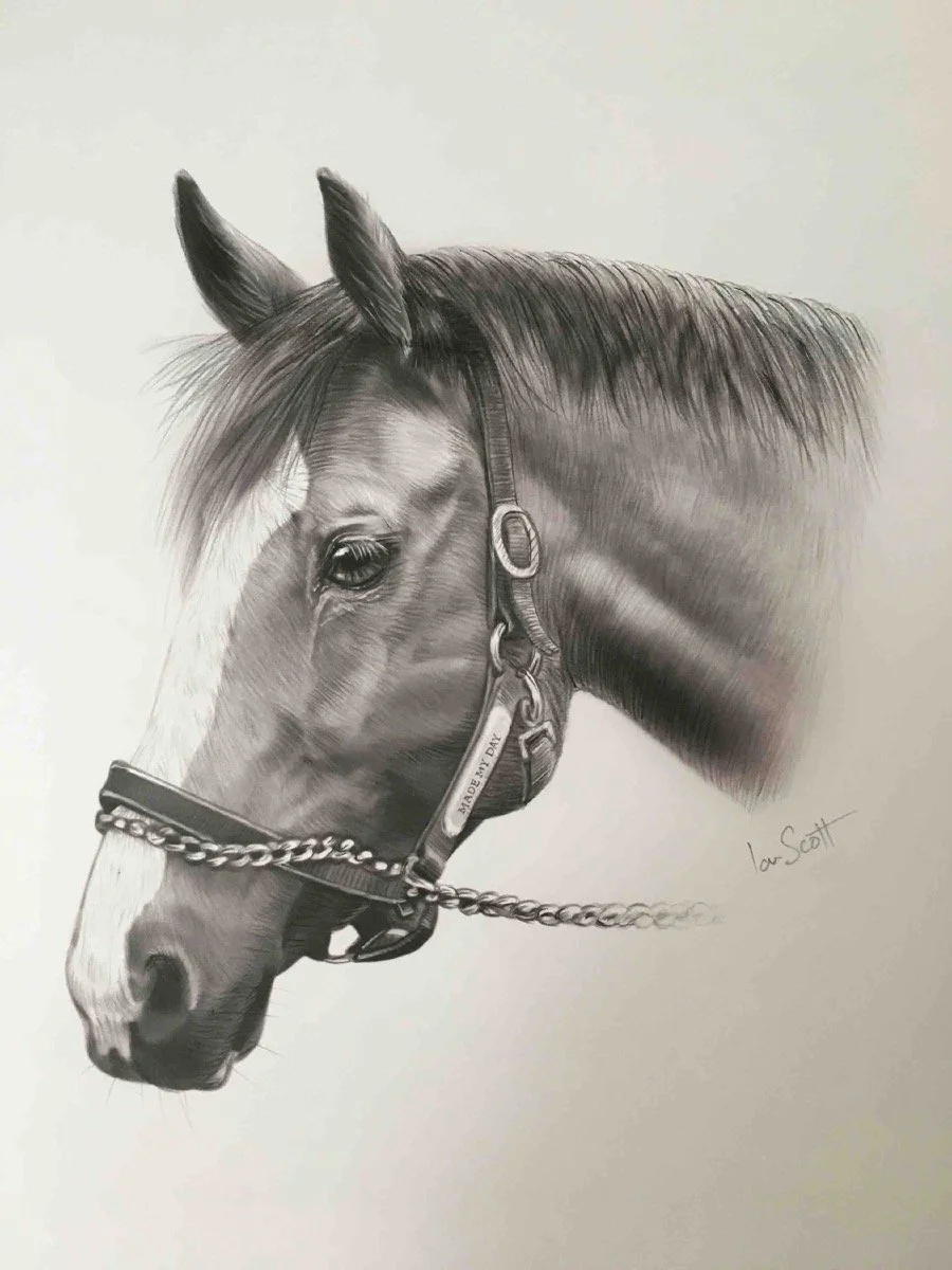 2023-10-14_Horse_Bay_Brown_Bridle_ Pencil_Portrait_Ian_Scott_Art_ianscottart_Artist_Stallion_Art.jpg