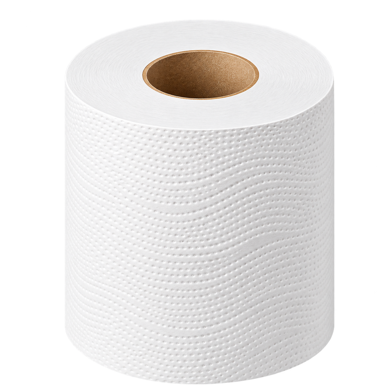 6 Rollos Bobinas de Papel de Manos 2 Capas 150m.