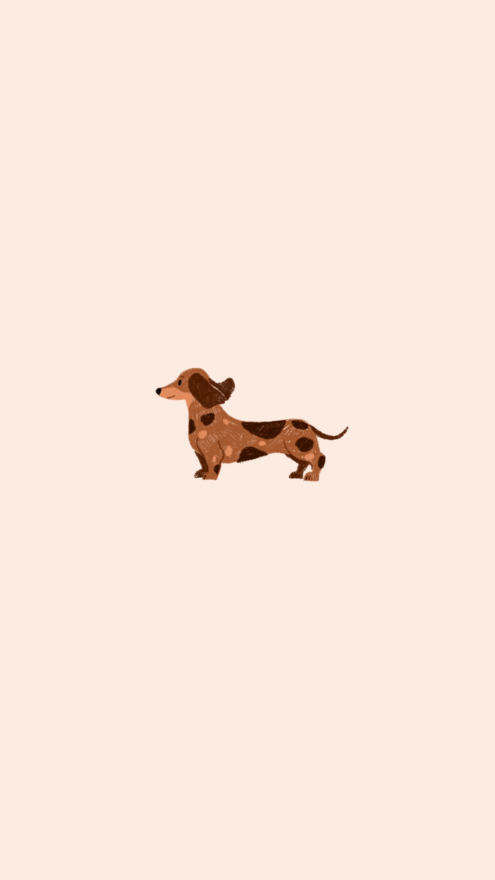 {animations}