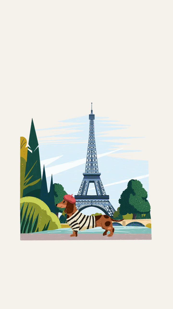 {animations}