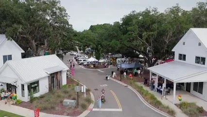 Wide environmental frame of the market setting